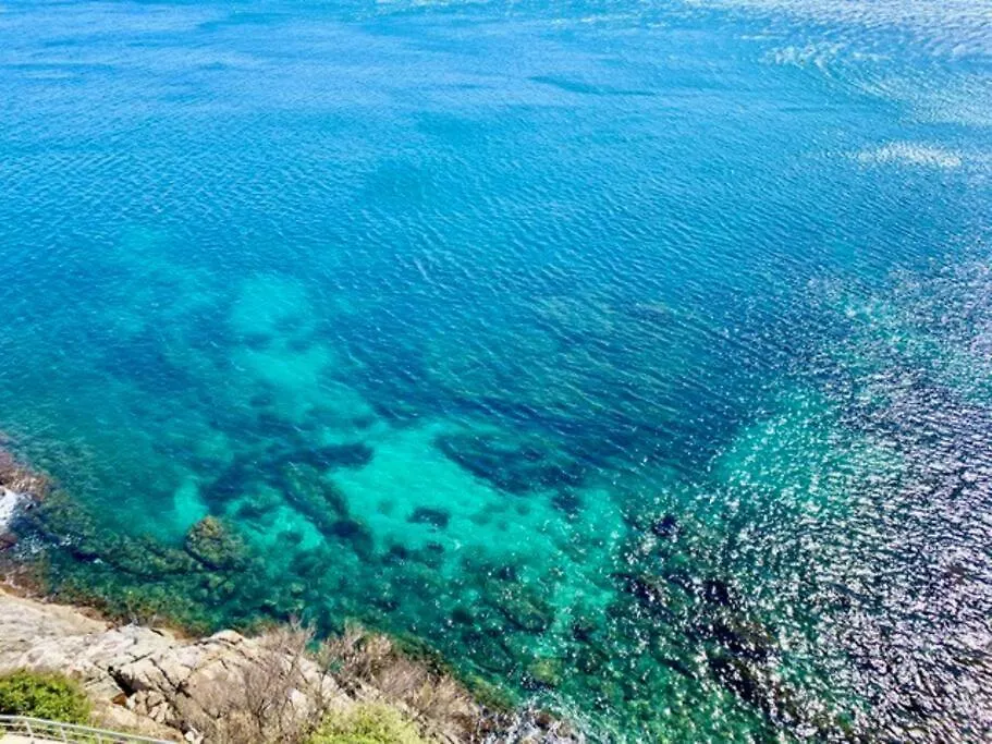 Appartement Les Pieds Dans L'Eau, La Tete Dans Les Nuages, Roses